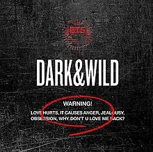 BTS Dark and Wild