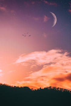 Worldwide Handsome effect - A picturesque sunset with a crescent moon and flying birds creates a serene and captivating sky scene.